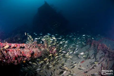 Rebel - The midsection of the vessel is collapsed