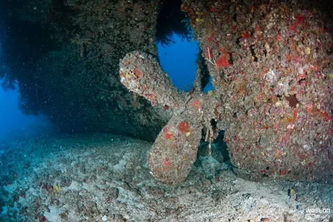 Mariner 2 Tug - The powefull propeller is still in its place