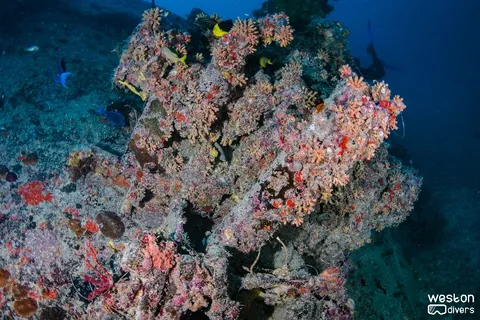Union Express - The bow winch