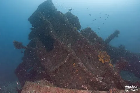 Thozina - The wreck received significant damage during several storms