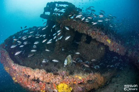 Gilbert Sea