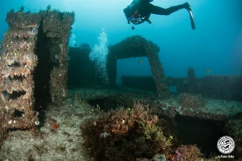 Danny McCauley - The wreck sits upright and it's intact