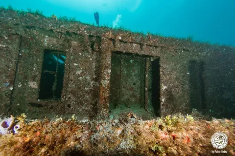 Danny McCauley - The structure offers many swims through