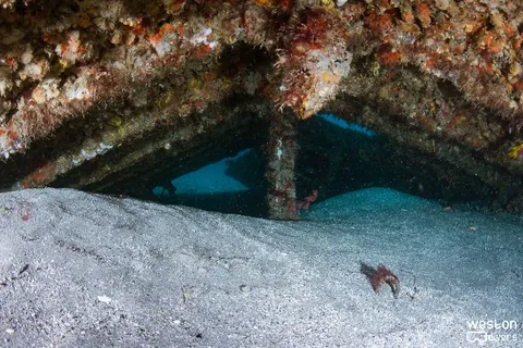 MG-111 - There is no penetration or swims through in this wreck