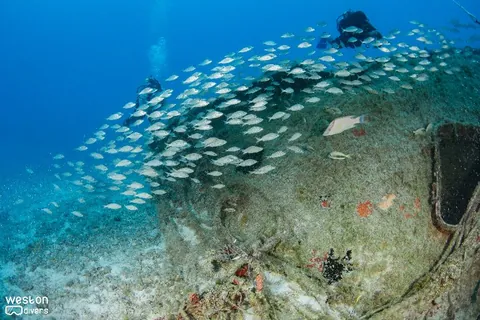 Cannabis Cruiser - The bow of this wreck point west