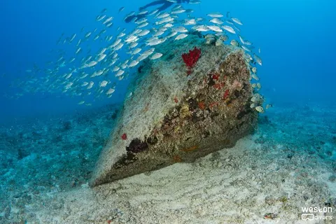 Cannabis Cruiser - This wreck is tilted to its port side