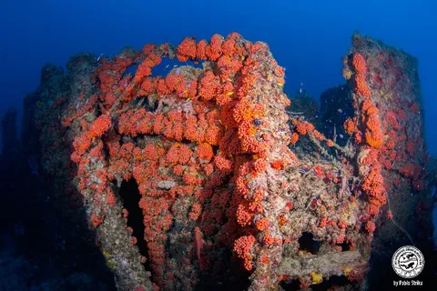 Hugo's April Fool - Another view of the stern