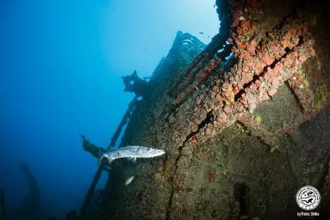General Hoyt S. Vandenberg - This wreck has a massive relief