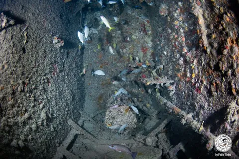 Peter B. McAllister - Although the engine has been removed, divers can see the shaft still in the tugboat