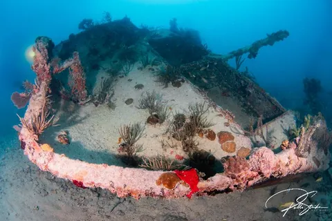 Tarpoon - The stern of this wreck is the only section that can be considered "semi" intact.