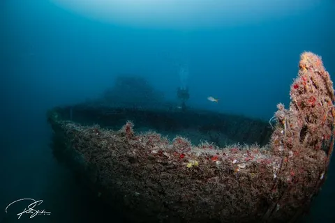 Miguana - If visibility is good, divers may be able to the entire wreck from the bow