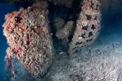 Miguana - The propeller in this wreck is intact. A must visit spot