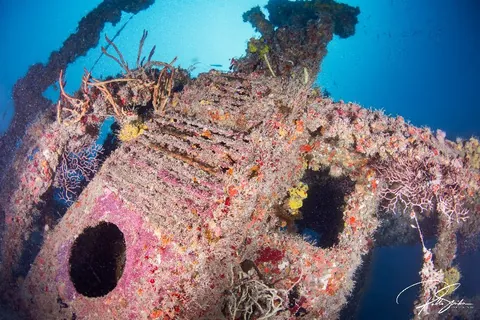 Etoile de Mer - Colorful corals and rust are present in all the wreck