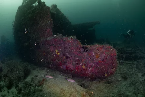 Eidsvag Triangle - The wreck is completely broken apart