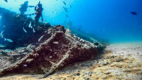 Miss Karline - The bow of the wreck