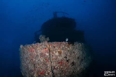 Tacoma - The wreck sits intact in about 130 ft