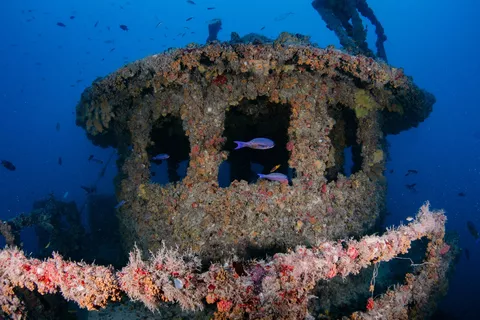 Tacoma - Another view of the wheelhouse