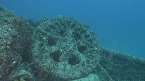 Tacoma - Tacoma Wreck in Miami - Deck
